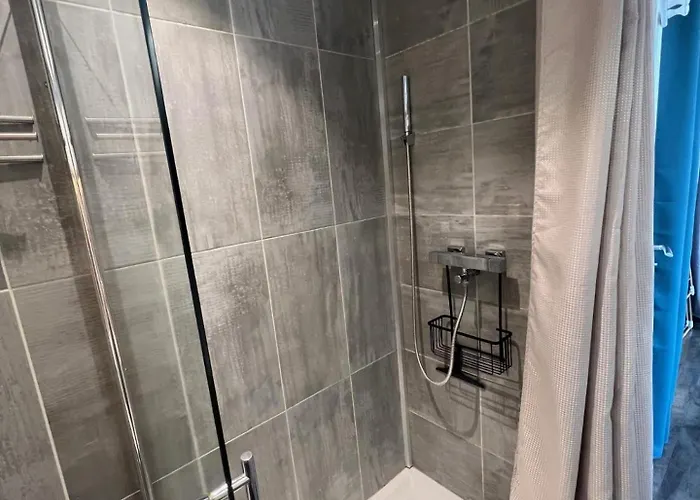 Le Terminus 公寓 *